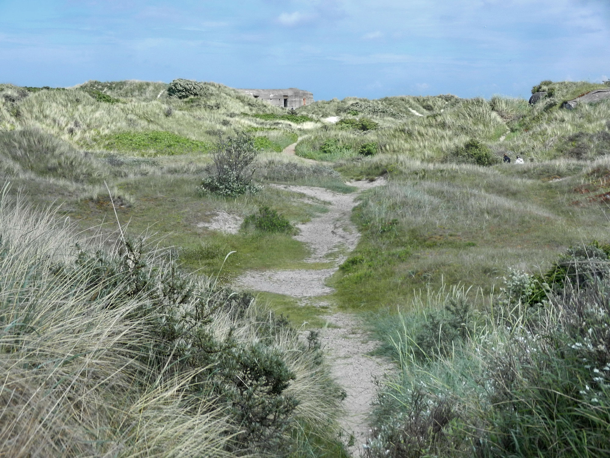 Skagen
